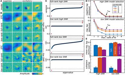 A Low-Rank Method for Characterizing High-Level Neural Computations